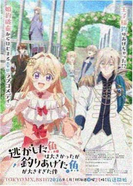 midara分集列表